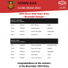 Down GAA Club Draw November 2024